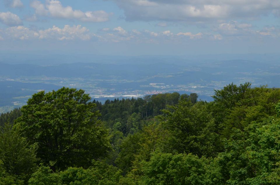 Trdinov vrh, Otočec 6.7.2014 - foto povečava