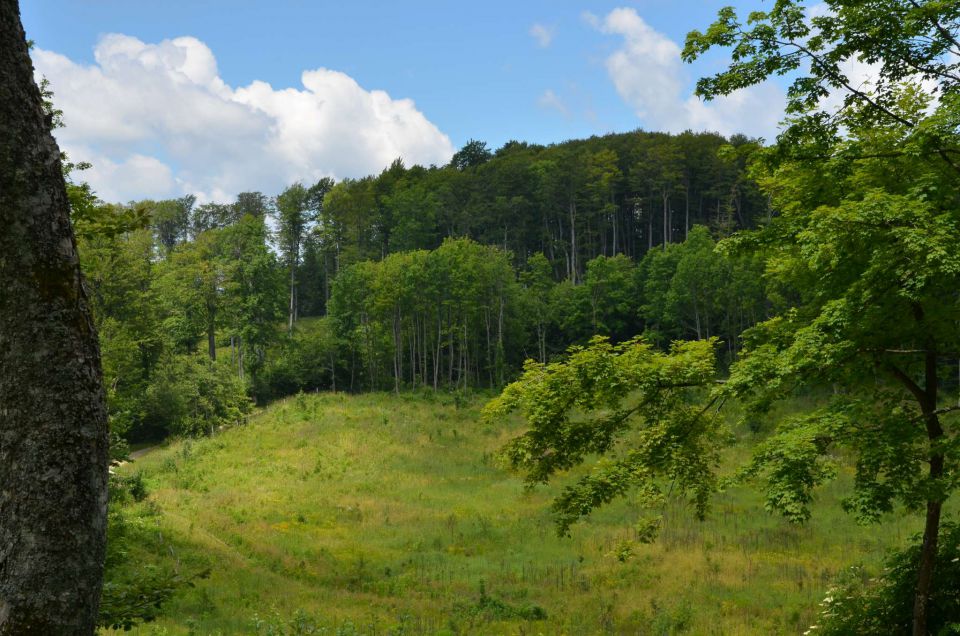 Trdinov vrh, Otočec 6.7.2014 - foto povečava