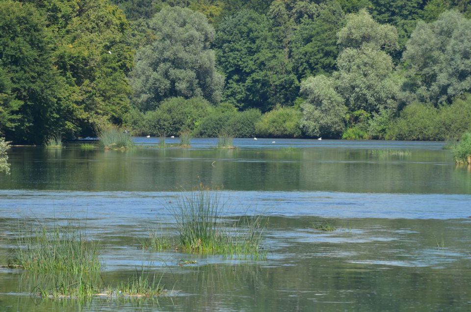 Trdinov vrh, Otočec 6.7.2014 - foto povečava