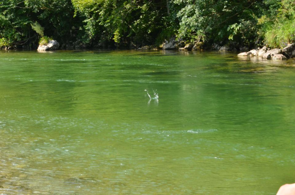 Bohinj, Blejska noč 19.7.2014 - foto povečava