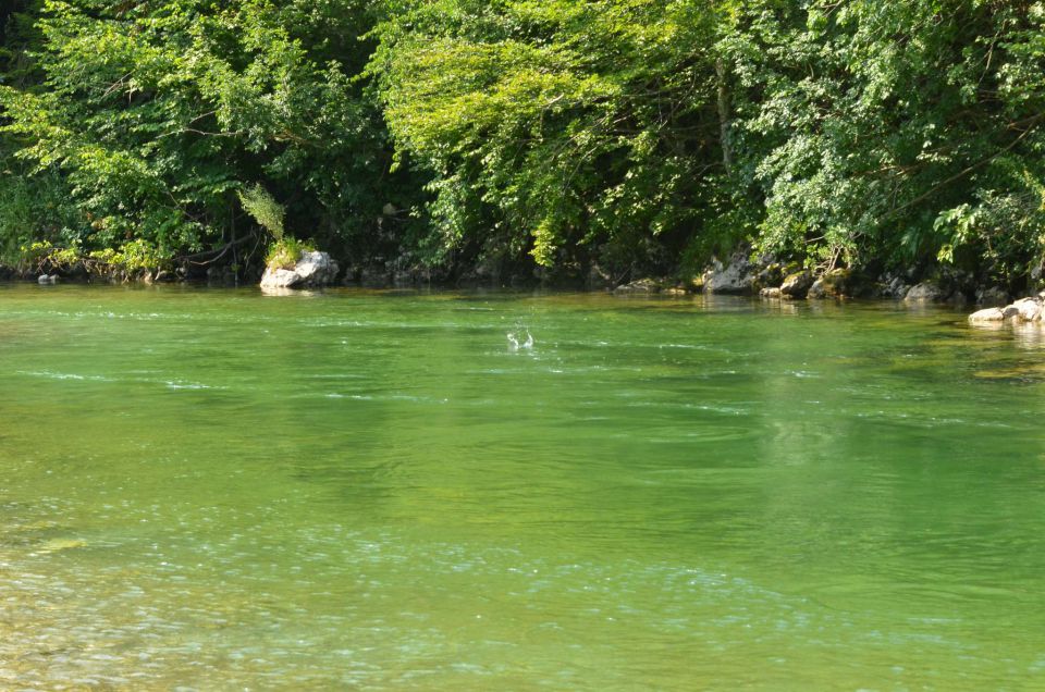 Bohinj, Blejska noč 19.7.2014 - foto povečava