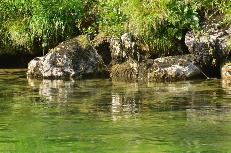 Bohinj, Blejska noč 19.7.2014 - foto povečava