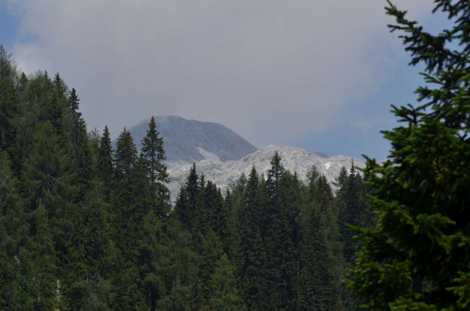 Planina V Lazu 20.7.2014 - foto povečava