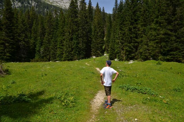 Planina V Lazu 20.7.2014 - foto