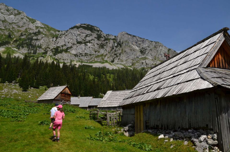 Planina V Lazu 20.7.2014 - foto povečava