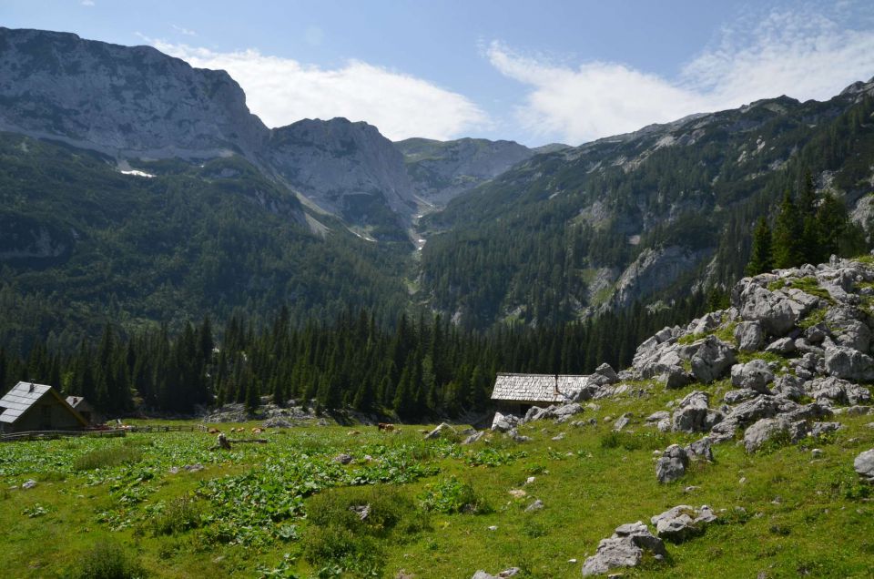 Planina V Lazu 20.7.2014 - foto povečava