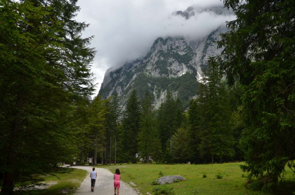 Peričnik, Vrata, Planica 22.7.2014 - foto povečava