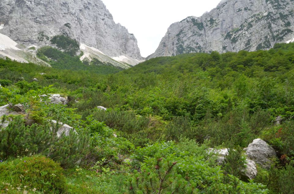 Peričnik, Vrata, Planica 22.7.2014 - foto povečava