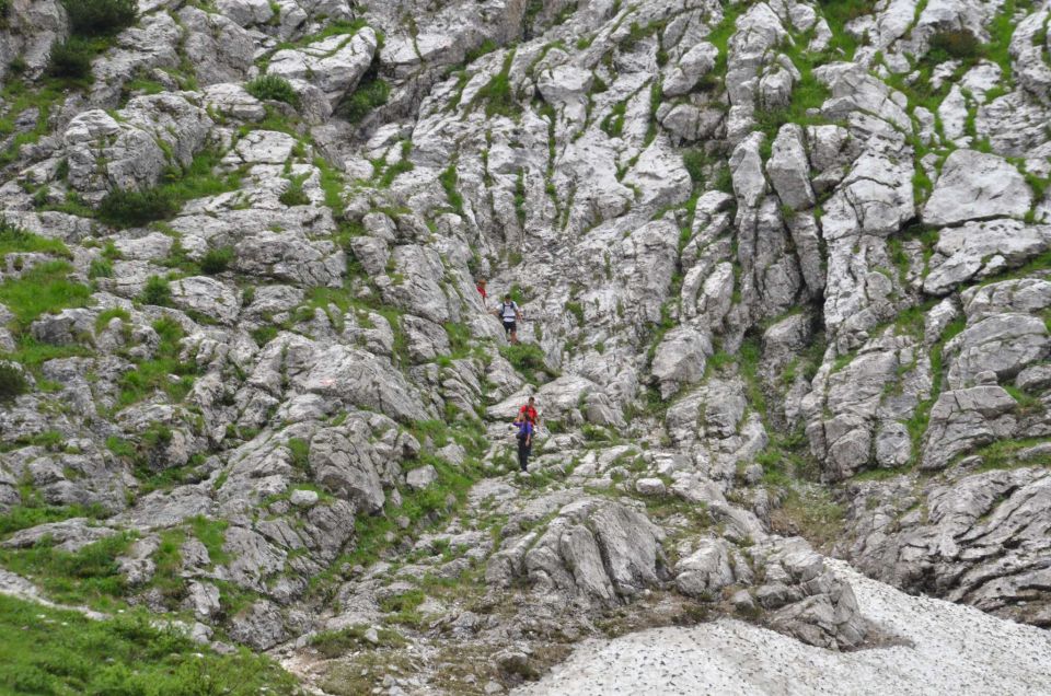 Peričnik, Vrata, Planica 22.7.2014 - foto povečava