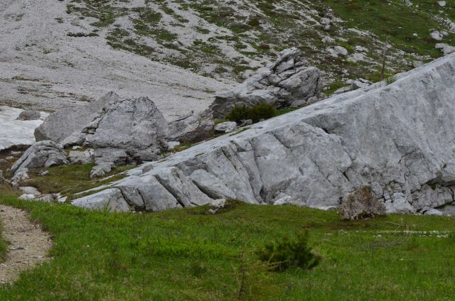 Pod Viševnikom do Draškega roba - 2 24.7.2014 - foto