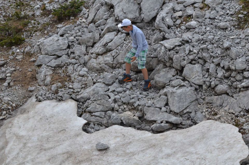 Pod Viševnikom do Draškega roba - 2 24.7.2014 - foto povečava