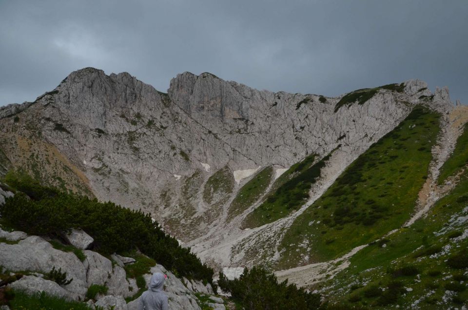 Pod Viševnikom do Draškega roba - 2 24.7.2014 - foto povečava