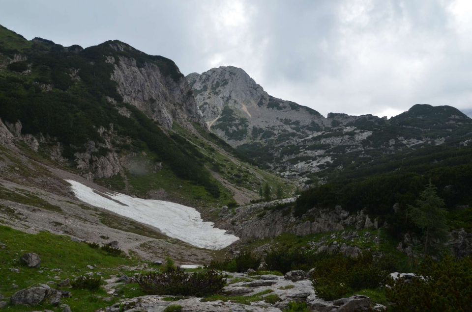 Pod Viševnikom do Draškega roba - 2 24.7.2014 - foto povečava