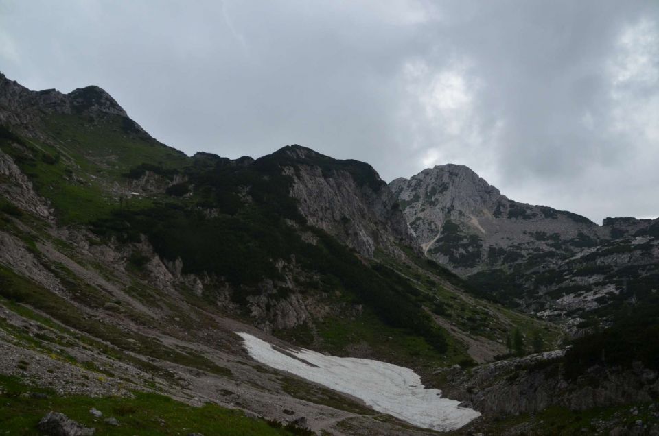 Pod Viševnikom do Draškega roba - 2 24.7.2014 - foto povečava