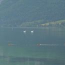Ob Bohinjskem jezeru 25.7.2014