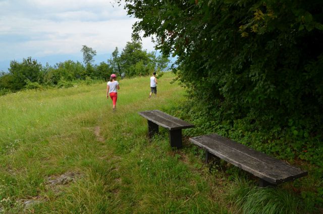 Rifnik 29.7.2014 - foto