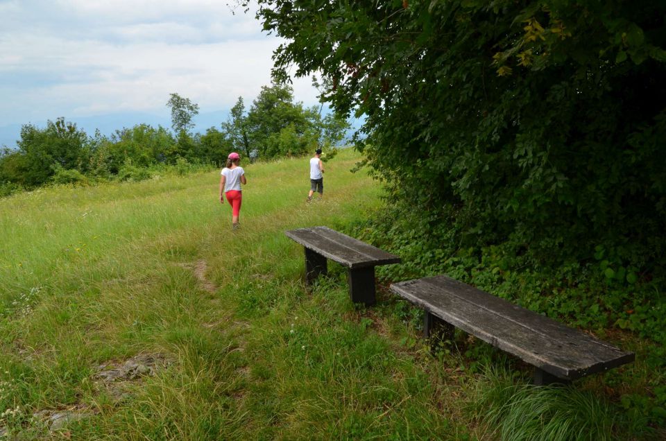 Rifnik 29.7.2014 - foto povečava