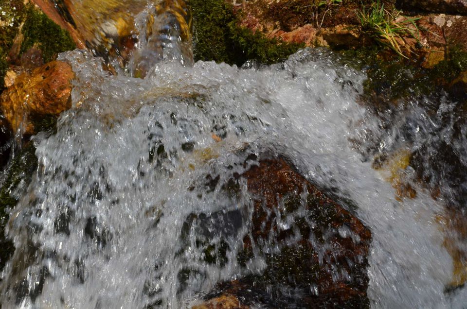 Logarska - Kotliči - Turska gora 3.8.2014 - foto povečava