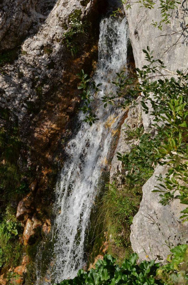 Logarska - Kotliči - Turska gora 3.8.2014 - foto povečava