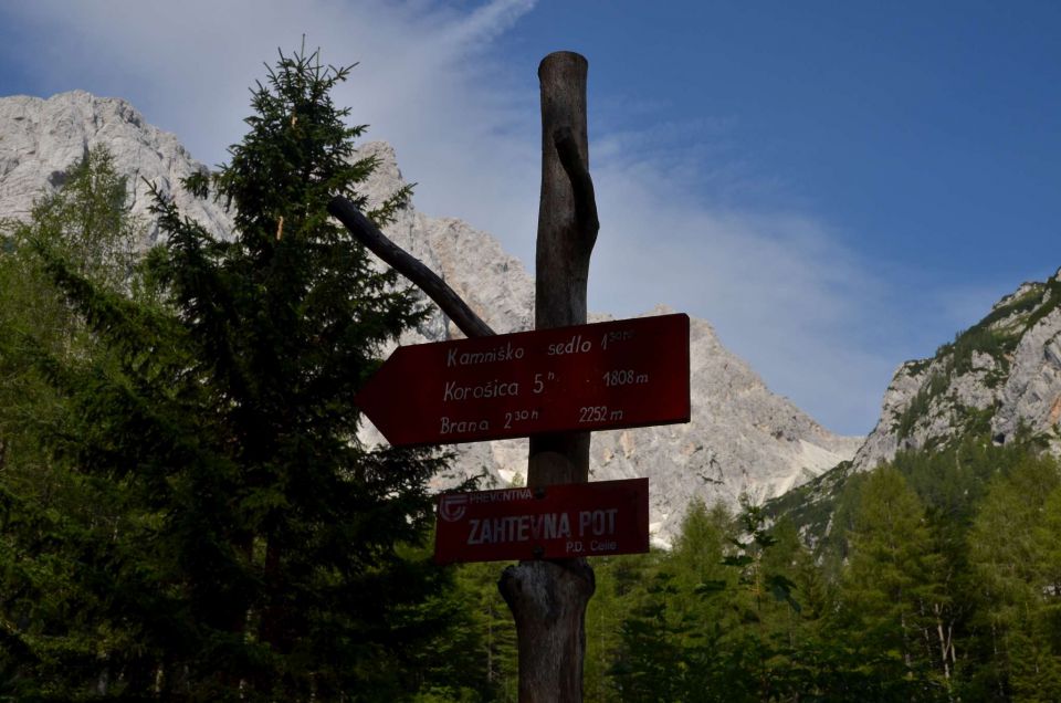 Logarska - Kotliči - Turska gora 3.8.2014 - foto povečava