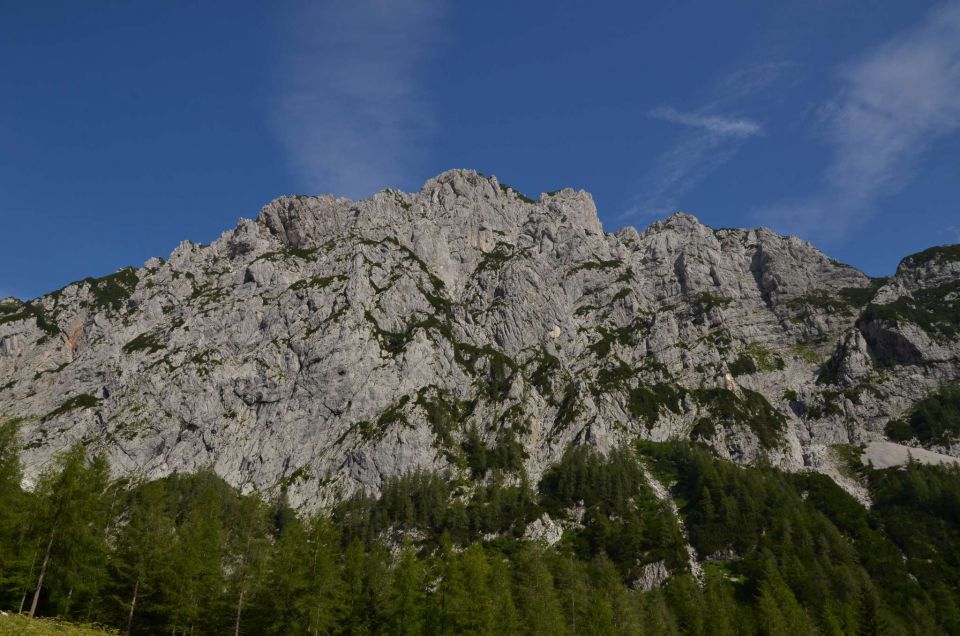 Logarska - Kotliči - Turska gora 3.8.2014 - foto povečava