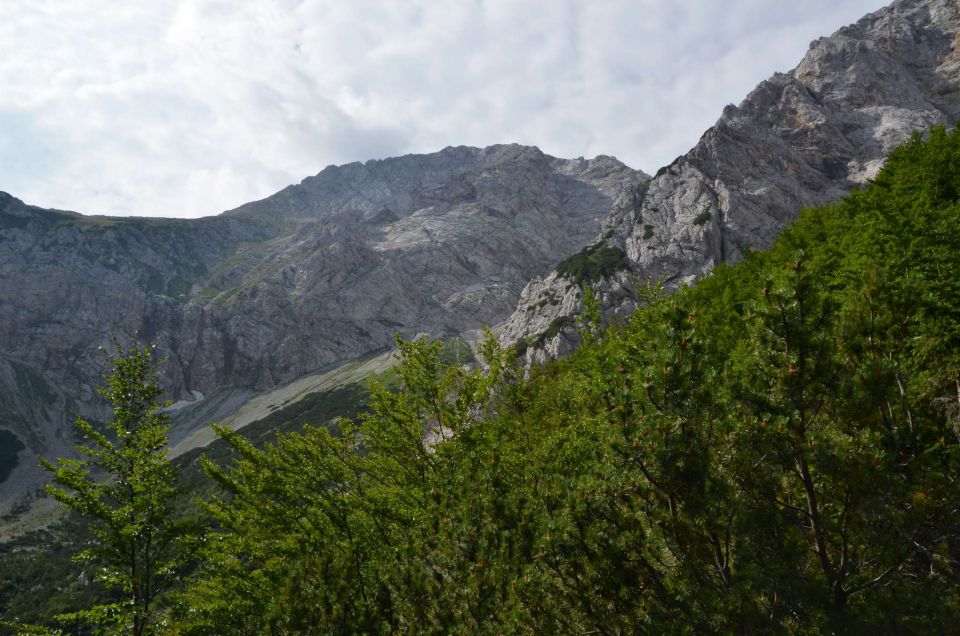 Logarska - Kotliči - Turska gora 3.8.2014 - foto povečava