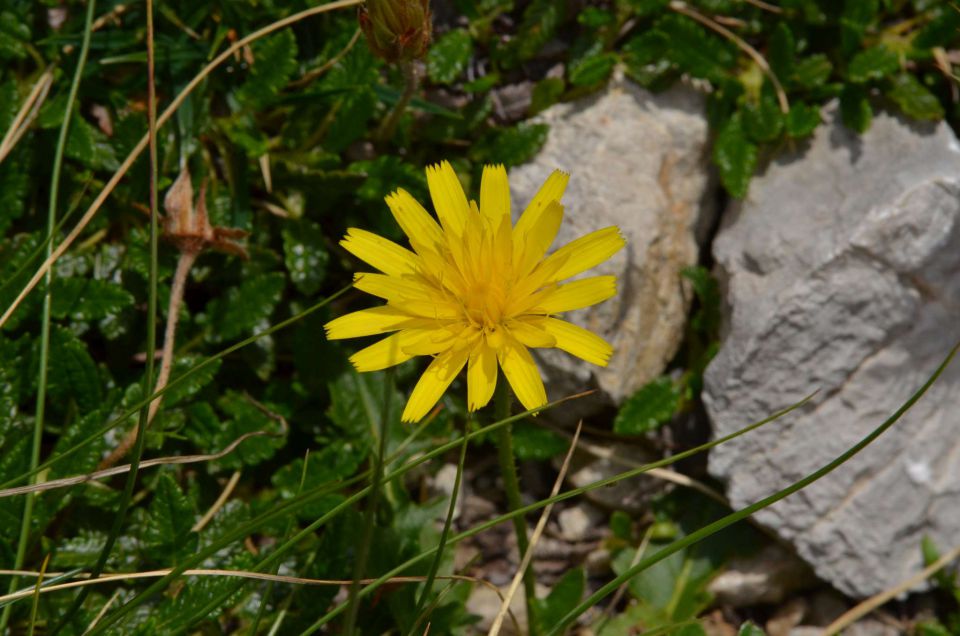 Logarska - Kotliči - Turska gora 3.8.2014 - foto povečava