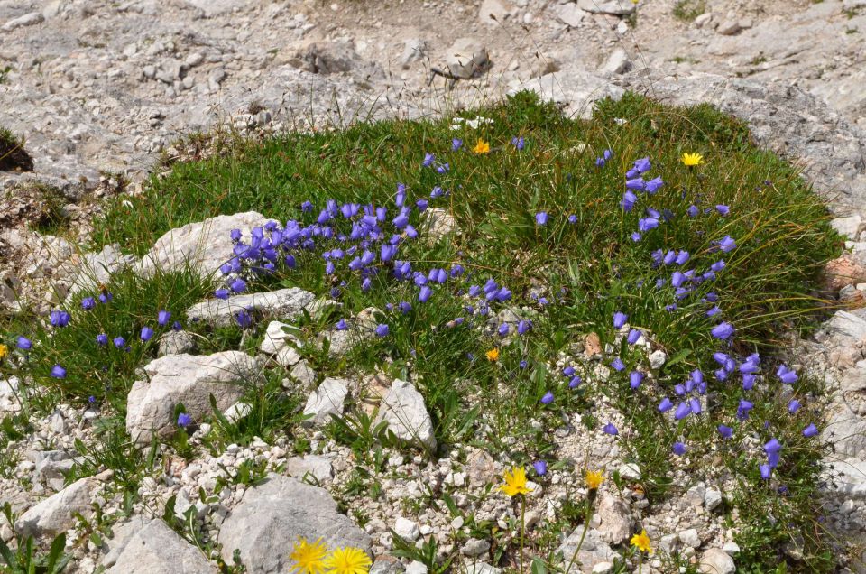 Logarska - Kotliči - Turska gora 3.8.2014 - foto povečava