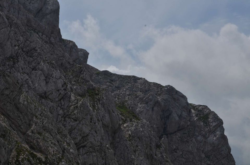 Logarska - Kotliči - Turska gora 3.8.2014 - foto povečava