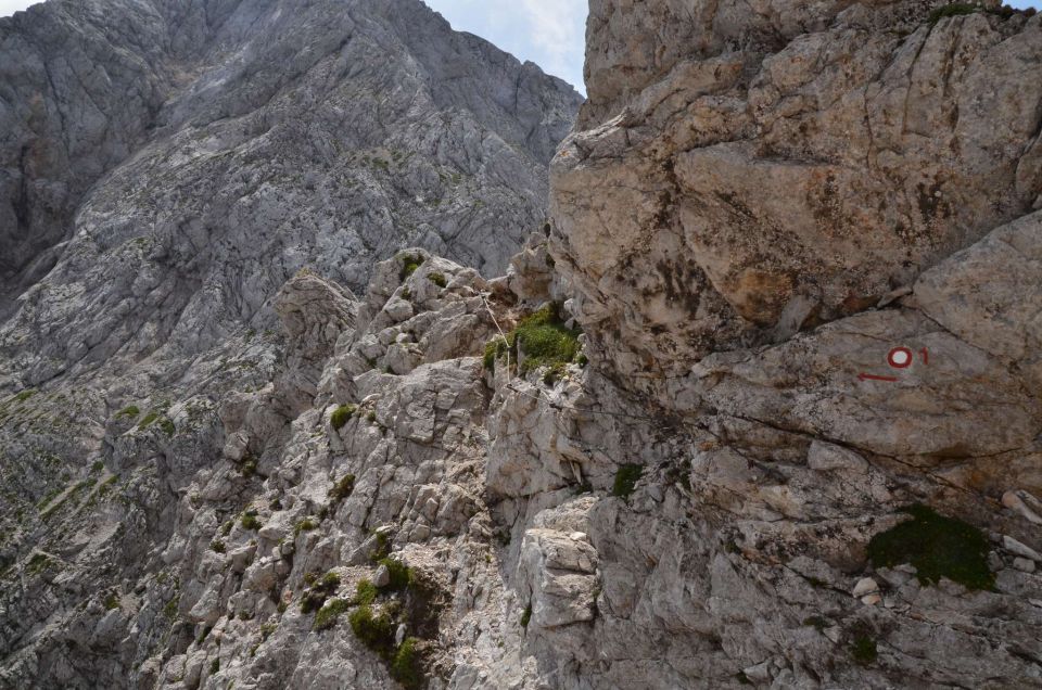 Logarska - Kotliči - Turska gora 3.8.2014 - foto povečava