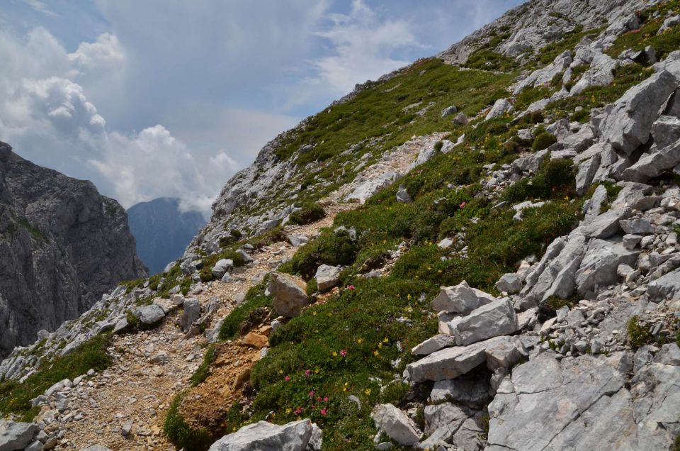 Logarska - Kotliči - Turska gora 3.8.2014 - foto povečava