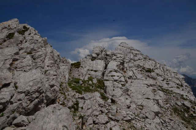 Logarska - Kotliči - Turska gora 3.8.2014 - foto