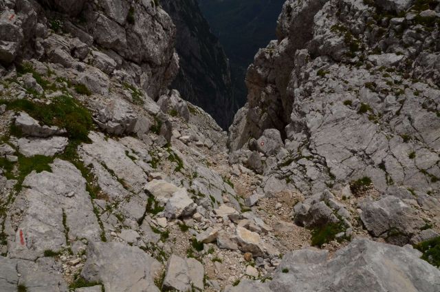 Turska gora - Kamniško s. - Logarska 3.8.2014 - foto