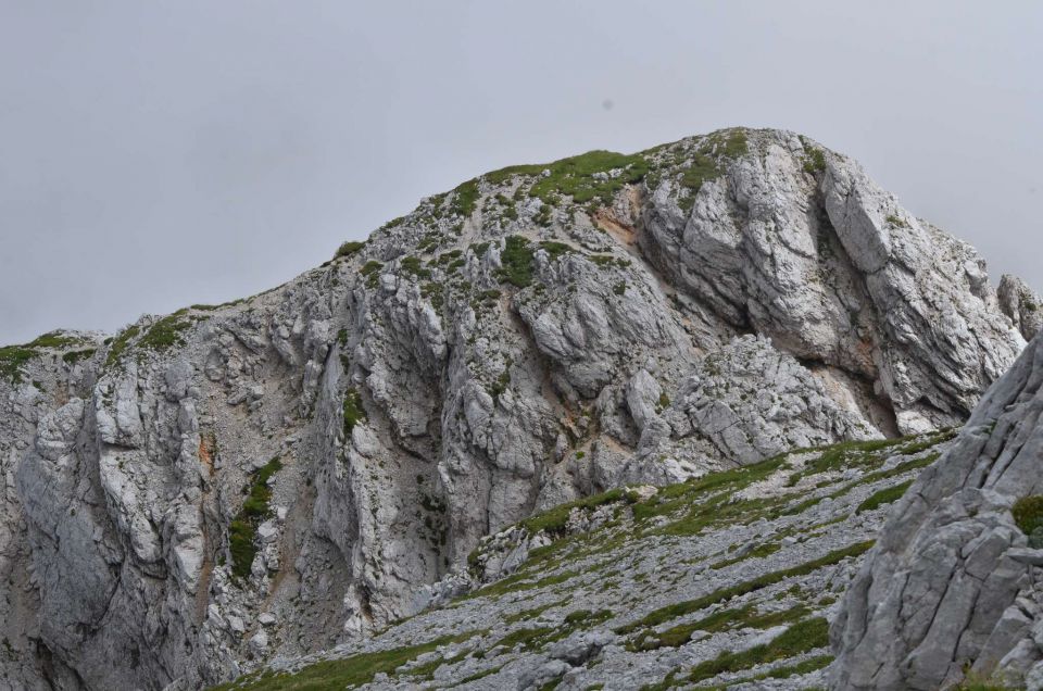 Turska gora - Kamniško s. - Logarska 3.8.2014 - foto povečava