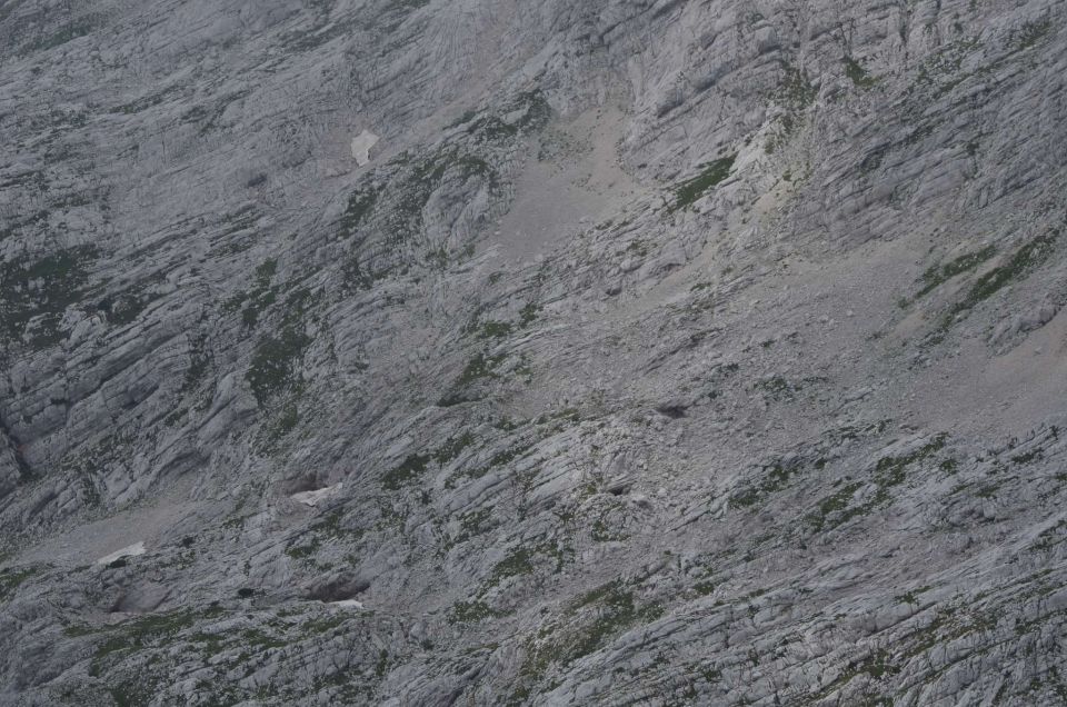 Turska gora - Kamniško s. - Logarska 3.8.2014 - foto povečava