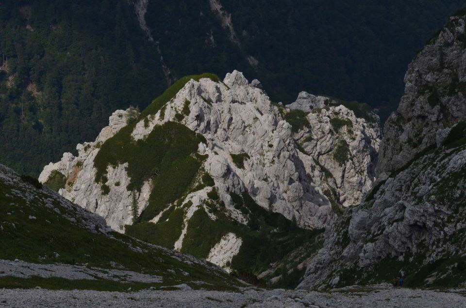 Turska gora - Kamniško s. - Logarska 3.8.2014 - foto povečava