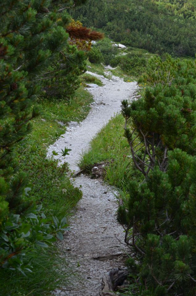 Turska gora - Kamniško s. - Logarska 3.8.2014 - foto povečava