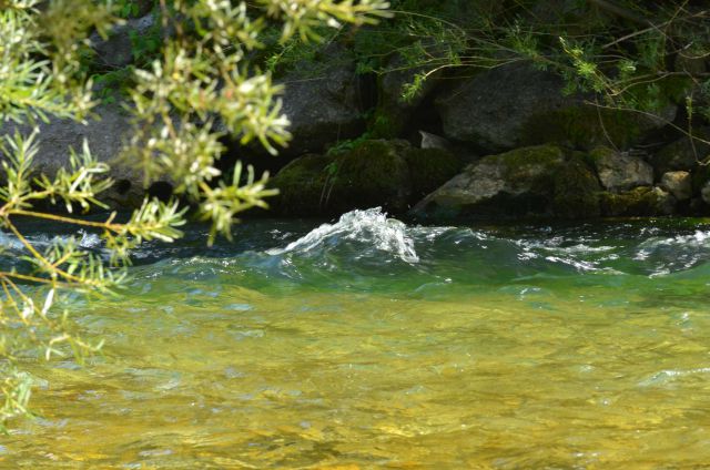 Bohinjska noč 9.8.2014 - foto