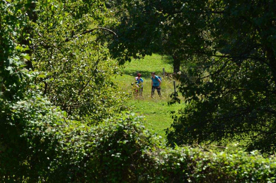 Šmohor 17.8.2014 - foto povečava