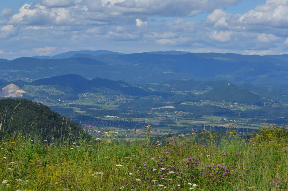 Šmohor 17.8.2014 - foto povečava