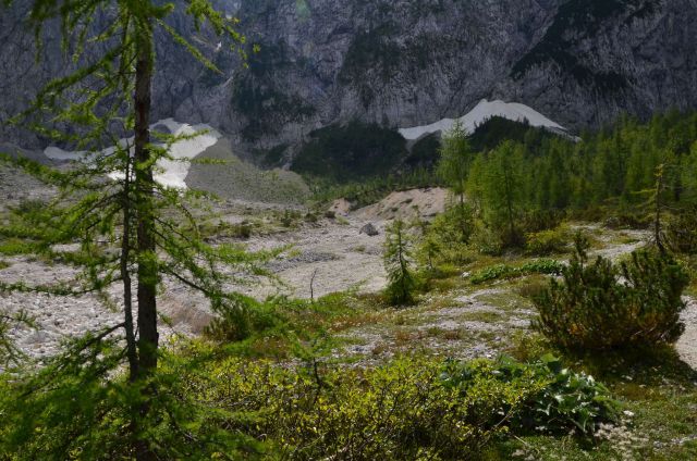 Pod Špik, Pri ingotu, Savinjska 30.8.2014 - foto