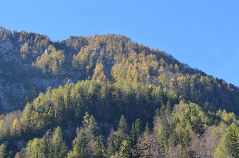 Češka koča, Jezersko 19.10.2014 - foto povečava