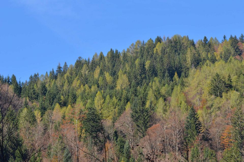 Češka koča, Jezersko 19.10.2014 - foto povečava