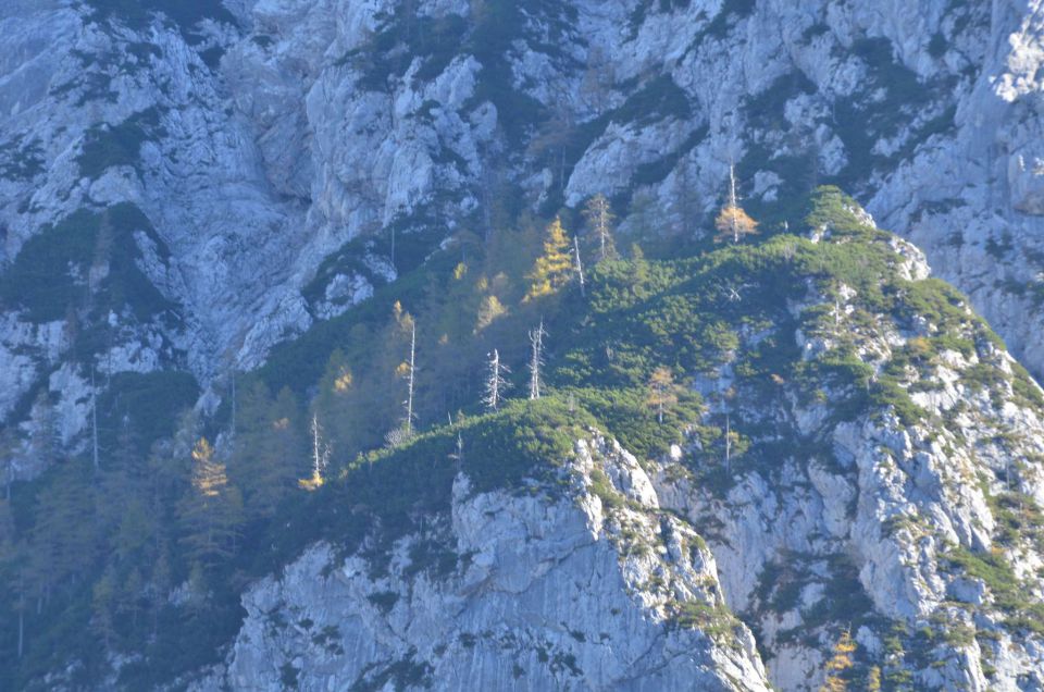 Češka koča, Jezersko 19.10.2014 - foto povečava