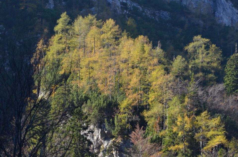 Češka koča, Jezersko 19.10.2014 - foto povečava