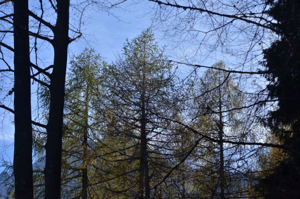 Češka koča, Jezersko 19.10.2014 - foto povečava