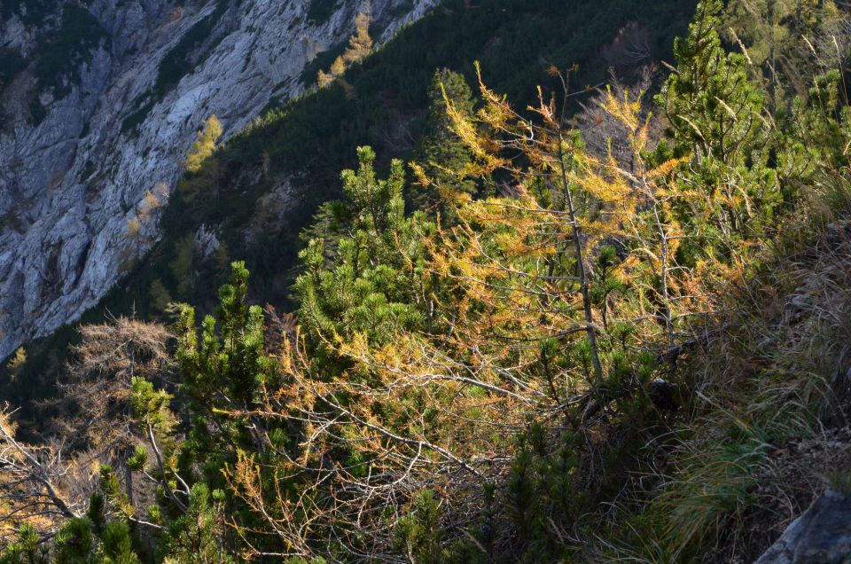 Češka koča, Jezersko 19.10.2014 - foto povečava