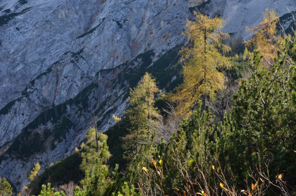 Češka koča, Jezersko 19.10.2014 - foto povečava