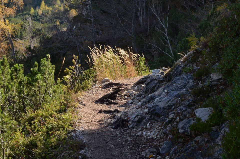 Češka koča, Jezersko 19.10.2014 - foto povečava