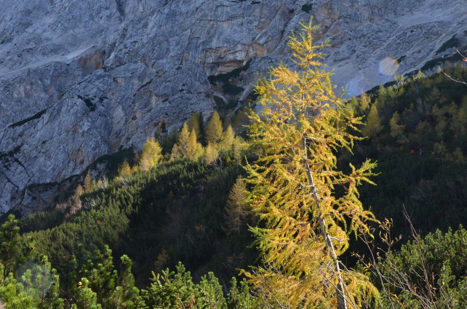 Češka koča, Jezersko 19.10.2014 - foto povečava